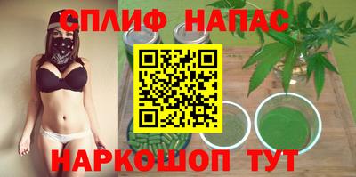 прущие грибы Изобильный