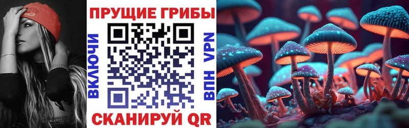 Галлюциногенные грибы мицелий  Сунжа 