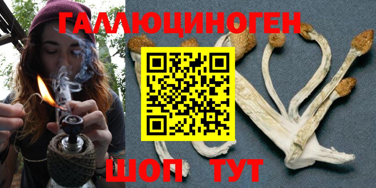 Галлюциногенные грибы MAGIC MUSHROOMS Сунжа
