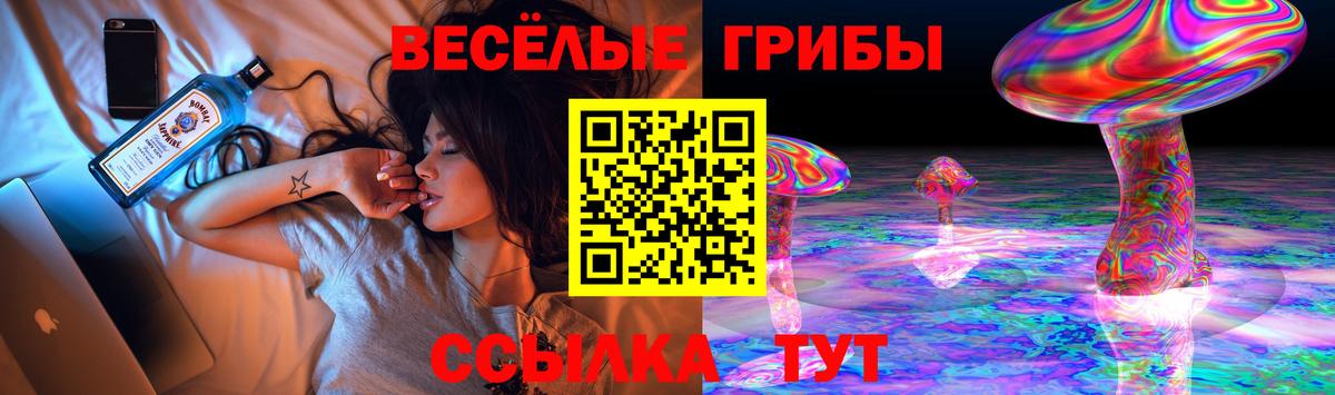 Псилоцибиновые грибы ЛСД  Вход с VPN  где найти наркотики  Сунжа 