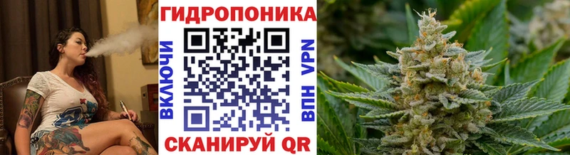 Канабис планчик  кракен как войти  Сунжа 